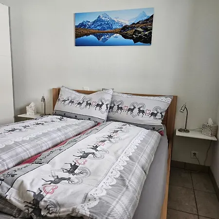 Boimenzueuen 2 Bett By Interhome 公寓 格林德瓦